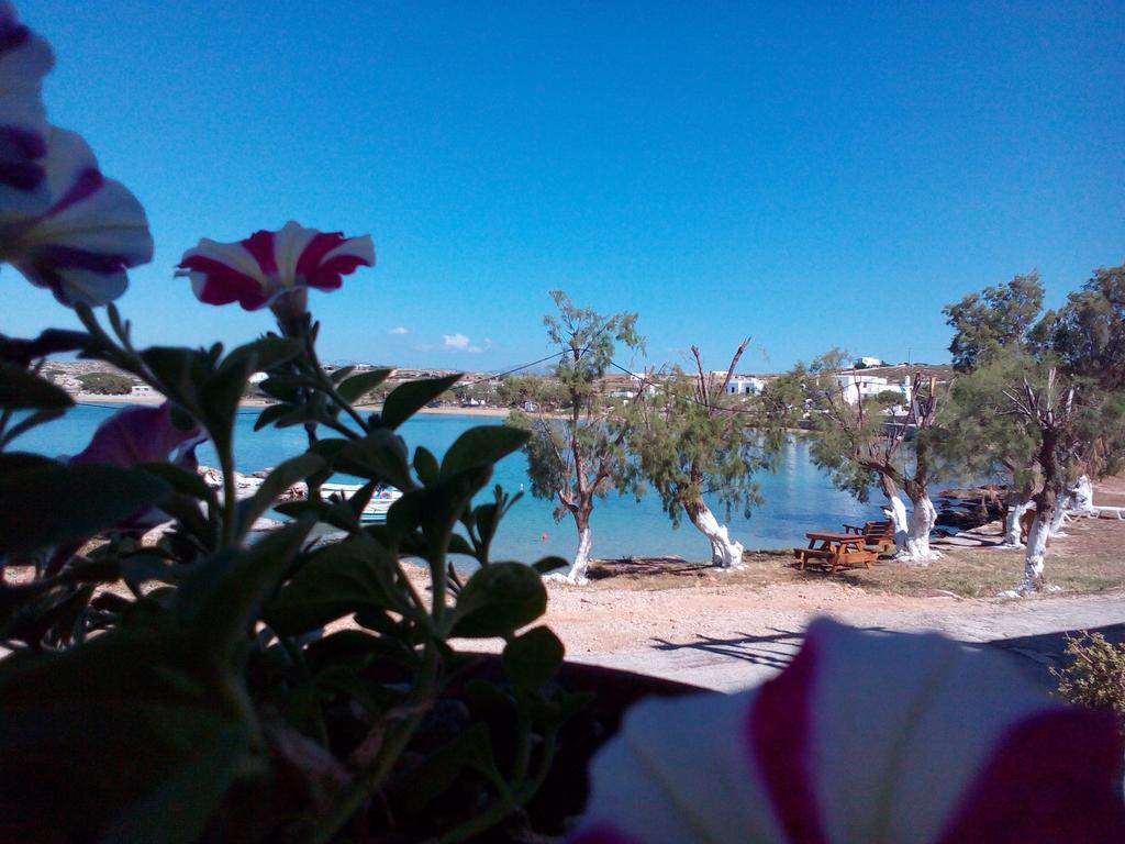 Bocamviglies By The Sea Hotel Naousa  Ngoại thất bức ảnh