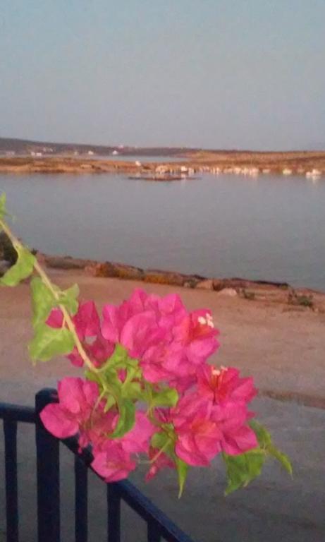 Bocamviglies By The Sea Hotel Naousa  Ngoại thất bức ảnh